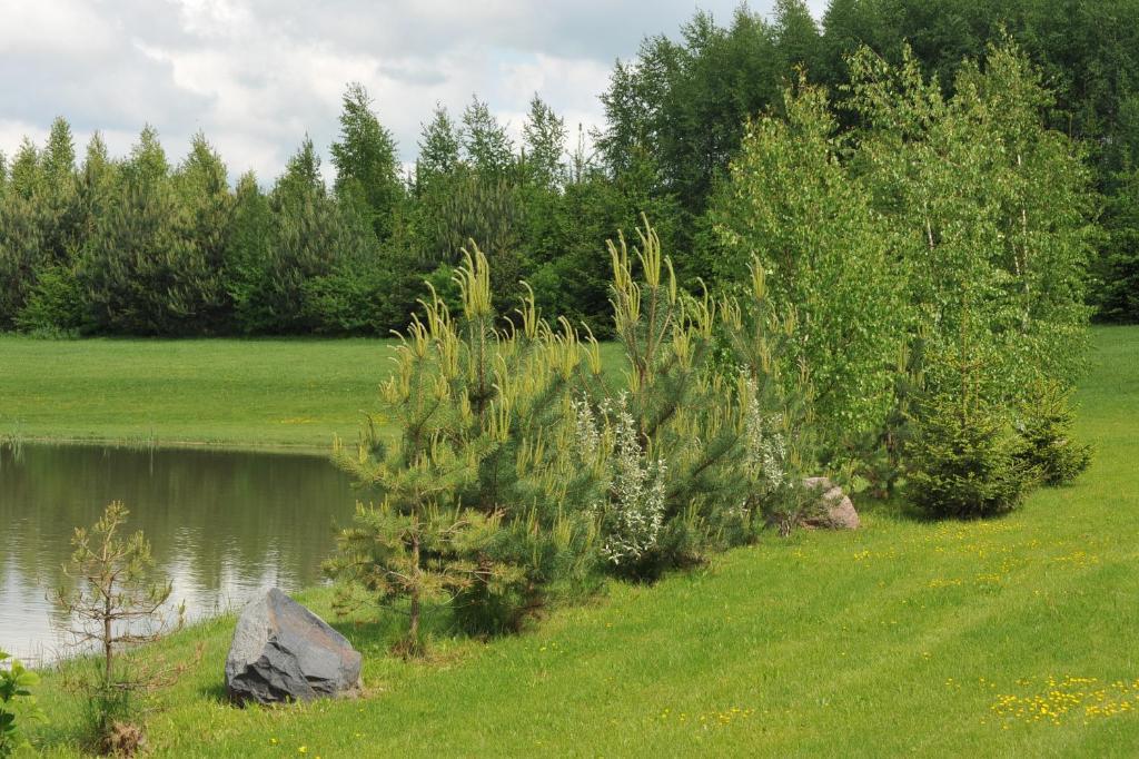 Country Houses Vidu Sodyba Uciana Zewnętrze zdjęcie