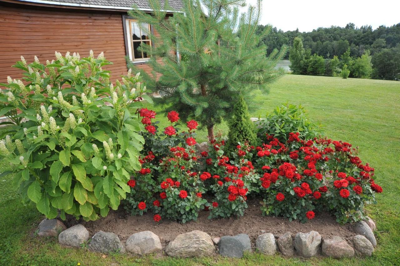 Country Houses Vidu Sodyba Uciana Pokój zdjęcie